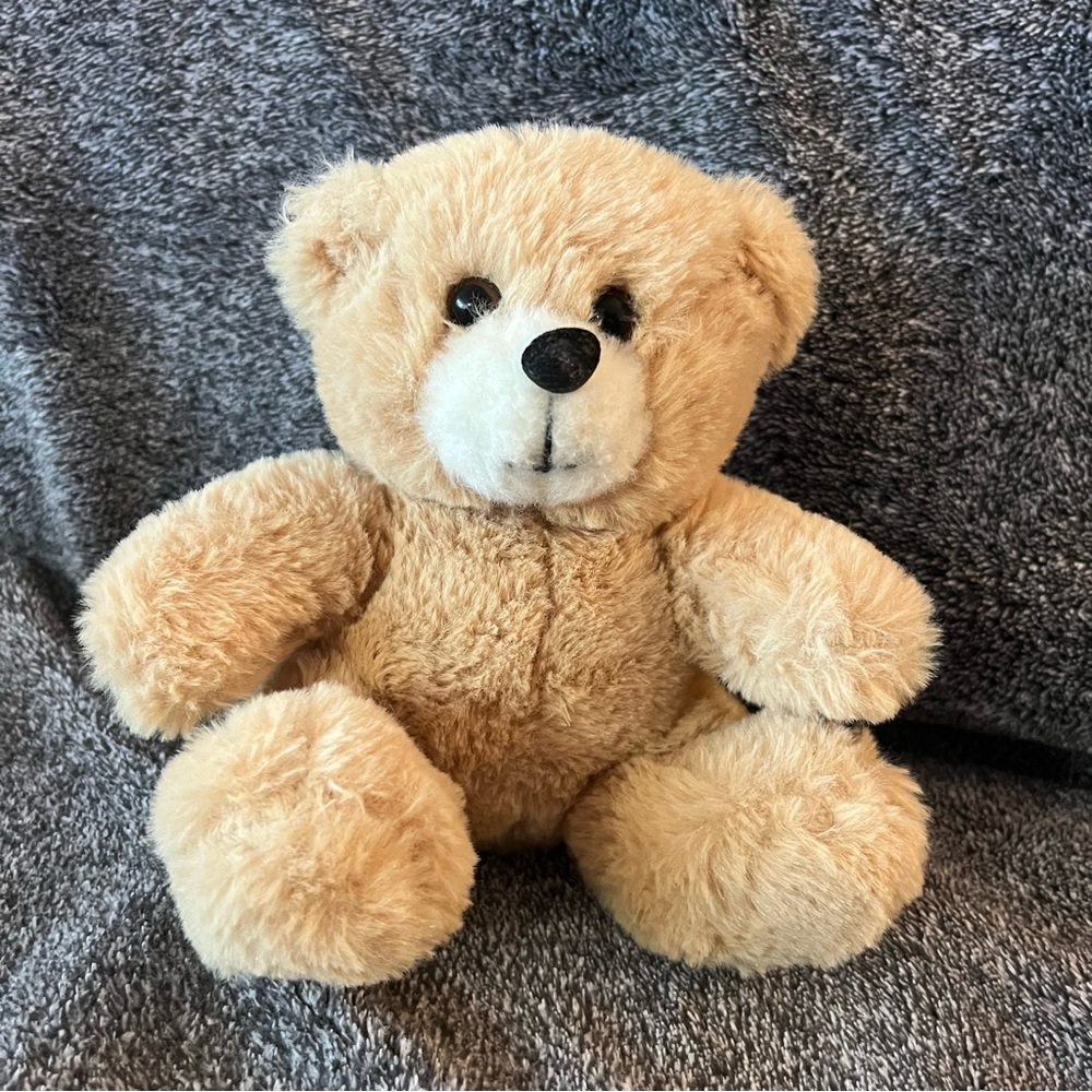 Adorable Teddy Bear